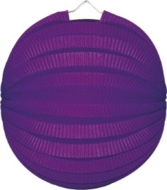 Bollampion Paars 23cm