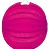Bollampion Roze 23cm
