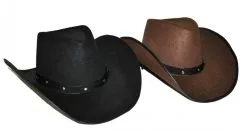 Cowboyhoed Vilt