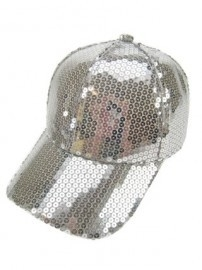 Zilver Baseball Cap / Pet