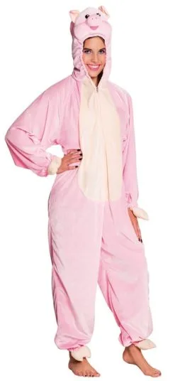 Dierenkostuum Tiener Varken