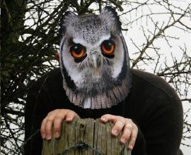 Masker Uil Karton 2 Masker Uil Karton - Afbeelding 2