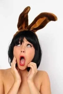 Hoofddiadeem Konijnenoren