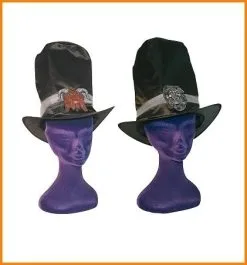 Hoge Tovenaarshoed